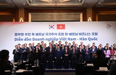 Chủ tịch nước: Hợp tác doanh nghiệp Việt - Hàn sẽ mang đến luồng sinh khí mới