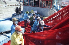 Ngư dân vươn khơi đánh bắt xuyên Tết, đón giao thừa giữa biển cả
