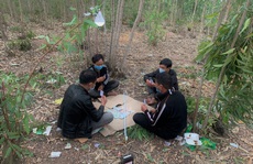 Bắt quả tang 4 thanh niên rủ nhau vào rừng tràm làm chuyện phi pháp