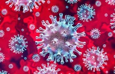Xác định 'kháng thể giả mạo' gây Covid-19 nghiêm trọng: Cơ hội cứu nhiều người
