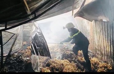 TP HCM: Cháy lớn ở công ty gỗ, nhiều người hoảng hốt
