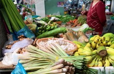 Đà Nẵng: 'Combo xông' được săn lùng, cháy hàng cục bộ