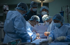 Hồi sinh những trái tim lỗi nhịp