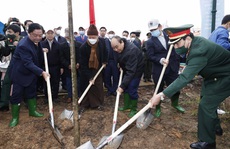 Chủ tịch nước Nguyễn Xuân Phúc phát động Tết Trồng cây tại Khu di tích lịch sử Đền Hùng
