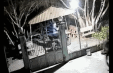 CLIP: Trộm chó bị phát hiện, hung hăng chĩa súng dọa bắn chủ nhà