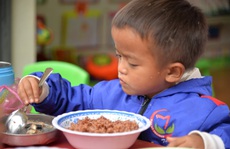 Sai phạm gần 27 tỉ đồng trong hỗ trợ thoát nghèo ở Quảng Ngãi