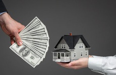 Loại hình BĐS nào đang hút dòng vốn của nhà đầu tư?