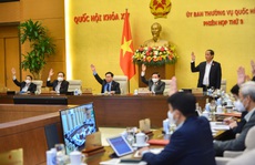 Trúng đấu giá đất rồi bỏ cọc: Cần có chế tài đủ mạnh