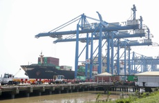 Đề xuất TP HCM mức thu phí cảng biển chung cho hàng hóa đóng ghép trong 1 container