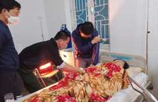 Ăn lá ngón tự tử sau giờ học, 3 nữ sinh lớp 8 nguy kịch