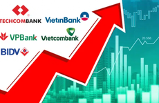 Động lực nào thúc đẩy lợi nhuận các ngân hàng 2022?