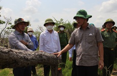 Vụ phá rừng lớn nhất tỉnh Đắk Lắk: Lãnh đạo xã tự nhận hình thức cách chức