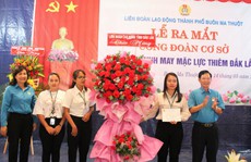 Đắk Lắk: Tập trung xây dựng Công đoàn khu vực ngoài quốc doanh