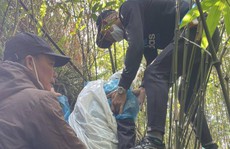 1 phụ nữ sống sót sau 7 ngày ngã xuống vực sâu Yên Tử, ăn rau dại cầm hơi