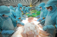Quan hệ kinh tế Việt - Mỹ đang ở thời điểm quan trọng