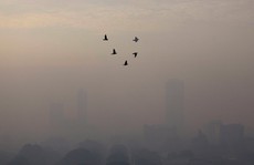 Ô nhiễm không khí rút ngắn tuổi thọ dân số thế giới