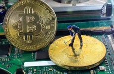 Giá Bitcoin lao dốc, thợ đào tiền ảo đối mặt khó khăn chồng chất