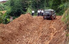 Quảng Nam tiếp tục xin Thủ tướng cho chuyển đổi 25 ha rừng tự nhiên để làm đường