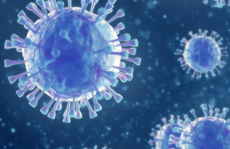 Phát hiện virus corona mới ở Thụy Điển, 'không biết có gây nguy hiểm cho người hay không '