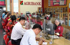 Một ngân hàng thu giữ 9 lô đất tại TP Thủ Đức
