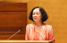 Bà Trương Thị Mai: Vào Đảng mà động cơ không trong sáng, giữa chừng gãy cánh
