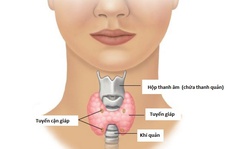 Làm sao mổ tuyến giáp mà không để lại sẹo?