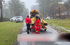 Úc: Dân Sydney 'tuyệt vọng' vì lũ lụt