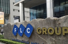 Nhóm cổ phiếu FLC tăng kịch trần dù vào diện cảnh báo