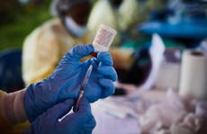 Congo công bố đợt bùng phát Ebola thứ 14, 100% ca bệnh tử vong