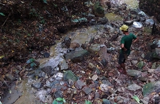 Rầm rộ khoét núi, phá rừng tìm vàng: UBND tỉnh Quảng Trị chỉ đạo 'nóng'