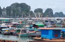 Hải Phòng, Quảng Ninh kêu gọi, hỗ trợ tàu thuyền vào nơi tránh trú bão số 3