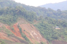 Quảng Nam thu hồi 24 ha rừng đặc dụng làm đường, Bộ NN-PTNT 'tuýt còi'