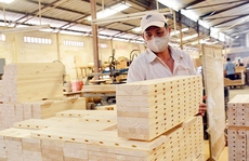 Xuất khẩu gỗ bất ngờ sụt giảm