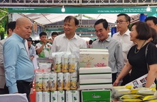 Cơ hội xuất khẩu từ đồng bằng sông Cửu Long