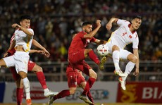 Đội tuyển Việt Nam đá giao hữu với Singapore, Ấn Độ