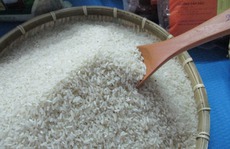 Gạo sẽ tăng giá mạnh từ động thái bất ngờ của Ấn Độ?