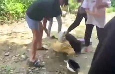 Nữ sinh lại bị đánh, lột đồ ở Đồng Nai