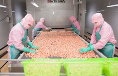 Cà Mau phấn đấu đưa 1.900 lao động ra nước ngoài làm việc