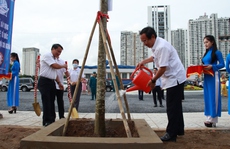 Bí thư Nguyễn Văn Nên phát động lễ trồng cây, xem đá bóng ở quận 7