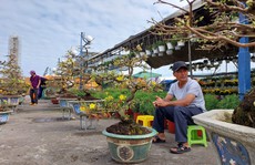 Hoa Tết Đà Nẵng: Hạ giá, sale sập sàn vẫn vắng người mua