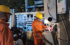 Điện lực miền Nam: Dòng điện “chạy” an toàn, đầy đủ trong dịp Tết Nguyên đán