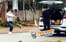Phẫn nộ với hình ảnh nữ du khách 'trộm' hoa cẩm tú cầu ở Măng Đen