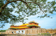'Bí sử' trùng tu di sản Huế