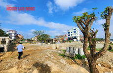 Cho doanh nghiệp sử dụng hơn 2.600m2 'đất vàng' để đổi lấy… 2 tấm pano?