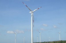 Lo phá sản, 36 nhà đầu tư điện gió gửi kiến nghị lên Thủ tướng Chính phủ