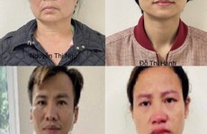 Khởi tố 4 bị can trong vụ buôn lậu cây xanh ở Hà Nội