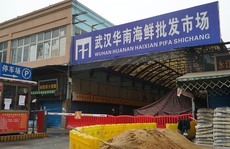 Manh mối mới về nguồn gốc COVID-19 lộ diện ở chợ Vũ Hán
