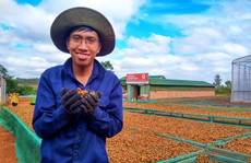 Nỗ lực xuất ngoại cà phê đặc sản Việt Nam