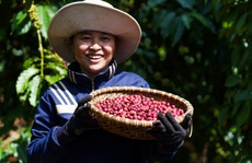 Nestlé triển khai mô hình nông nghiệp tái sinh
