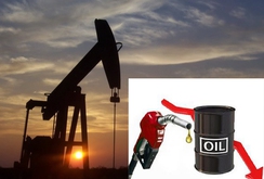 Giá dầu thấp nhất trong 5 năm qua, giá xăng ở Mỹ 12.837 đồng/lít